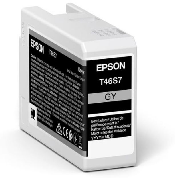 Picture of Epson T46S6 Grey Pro10 Ink Cartridge 25ml - C13T46S700