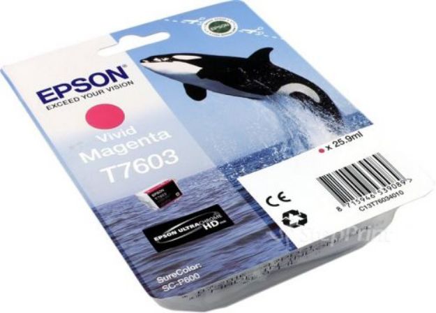 Picture of Epson T7603 Killer Whale Vivid Magenta Standard Capacity Ink Cartridge 26ml - C13T76034010