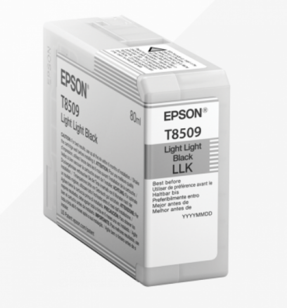 Picture of Epson T8509 Light Black Ink Cartridge 80ml - C13T850900