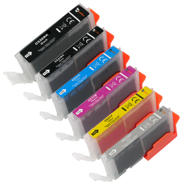 Picture of Compatible Canon Pixma TS8750 Multipack (6 Pack) Ink Cartridges